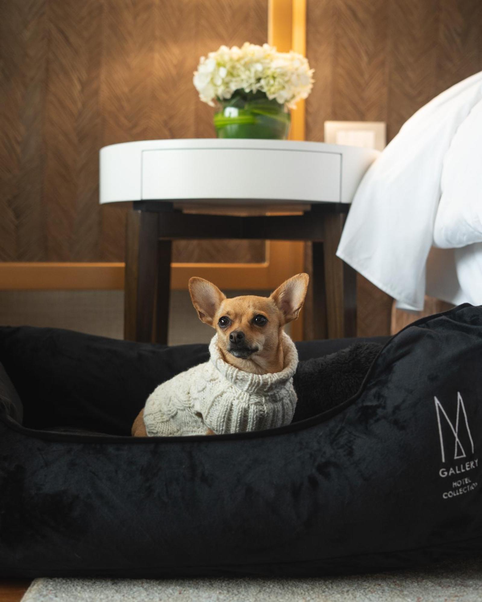 Manto Hotel Lima - Mgallery Exterior photo